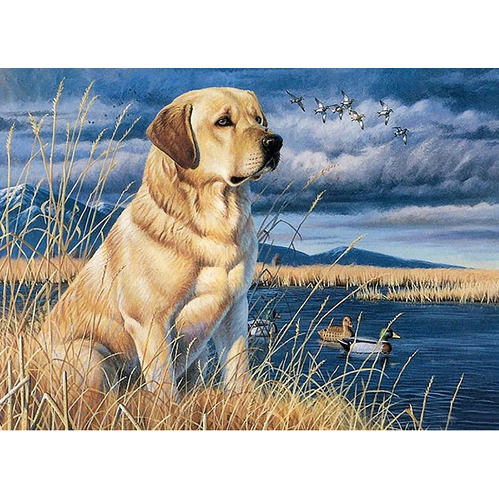 

Sale Diamond Embroidery Dog Labrador 5D DIY Diamond Painting Full Square / Round Diamond Mosaic Rhinestones Decor Painting FG470
