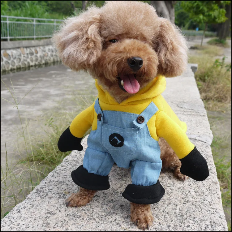 Buy Funny Halloween pet cat dog Minions costume