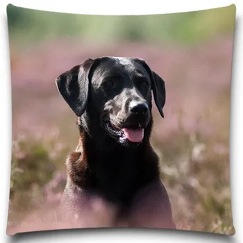 

Cute Dog Couch Square Cotton Polyester 5 size 9 style Christmas gift Home Seat Hotel Pillow Case Cushion Animal Hope Happy Cover