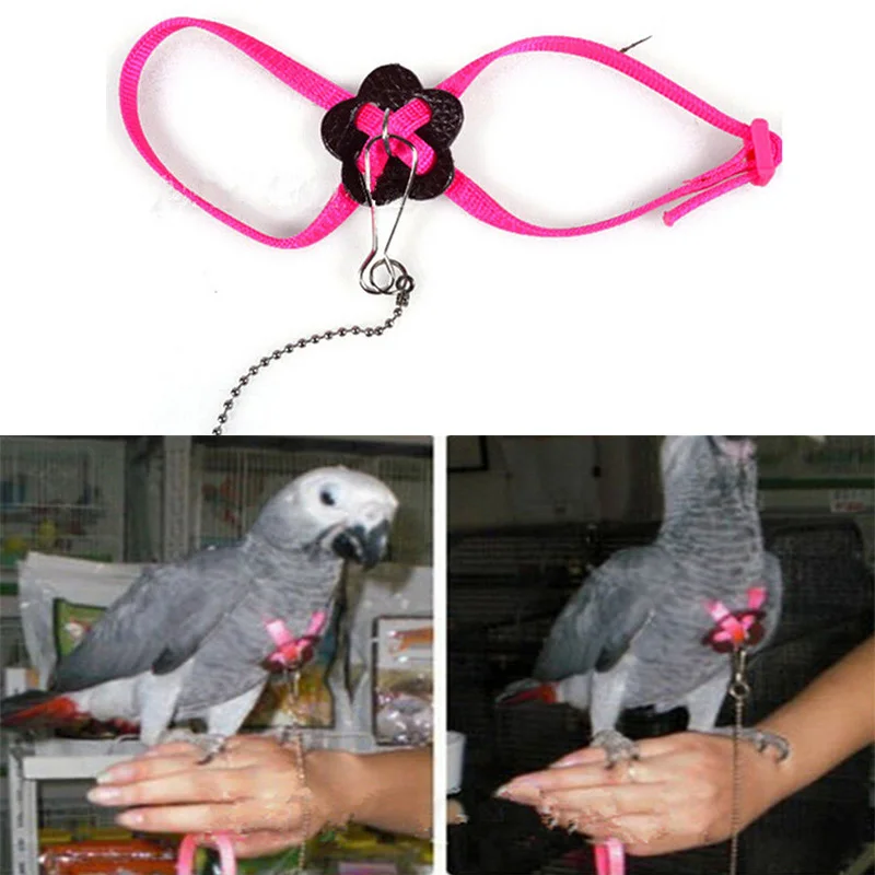Parrot Bird Harness & Leash Adjustable Multicolor Light Soft Fashion