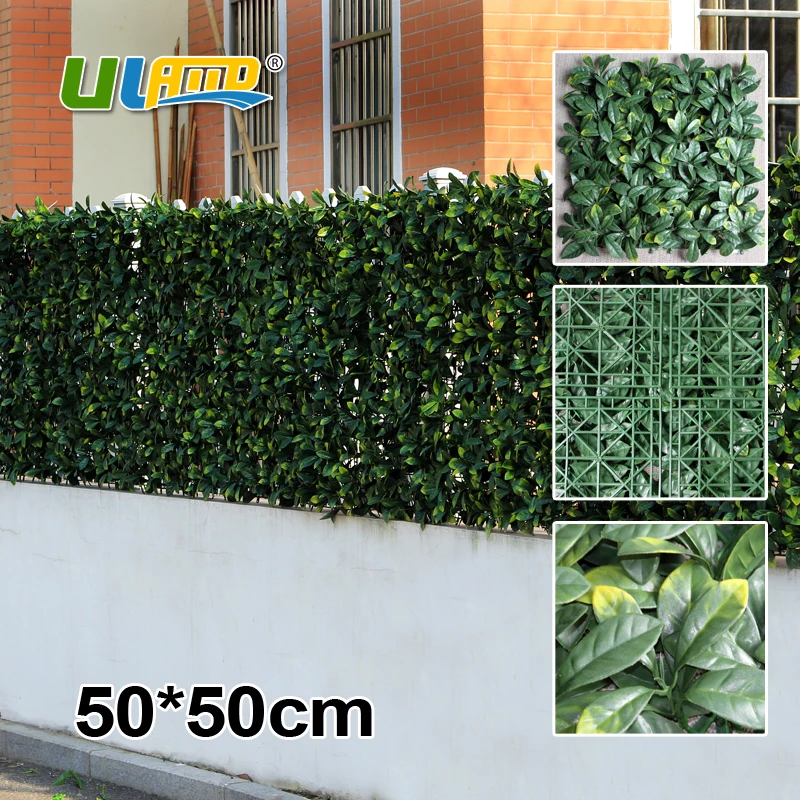 Siepe recinzione acquista a poco prezzo siepe recinzione lotti da ... Decorazione Muro recinto