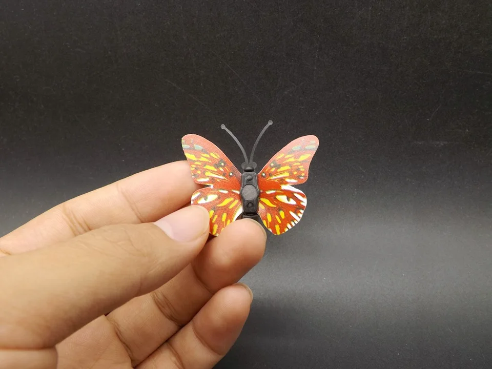 I255-Butterfly (4)