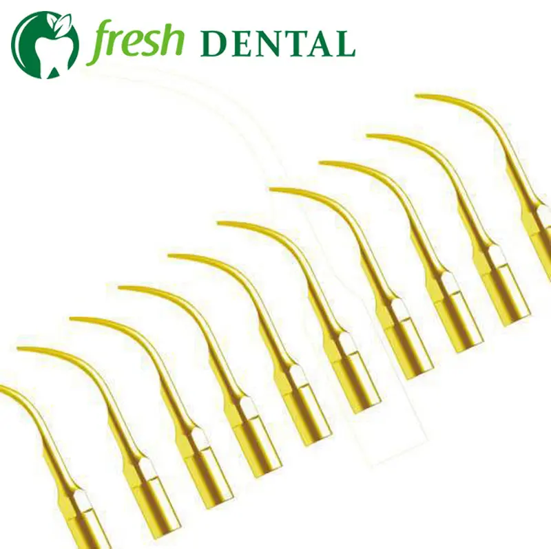 100PCS Dental Scaler Tips G5T Dental Ultrasonic Supragingival scaling