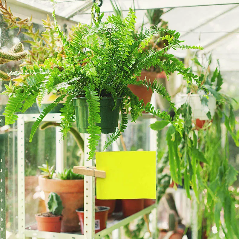 

20 Pcs Dual-Sided Yellow PVC Sticky Traps Flying Plant Insect Trap for Fungus Whiteflies HFing