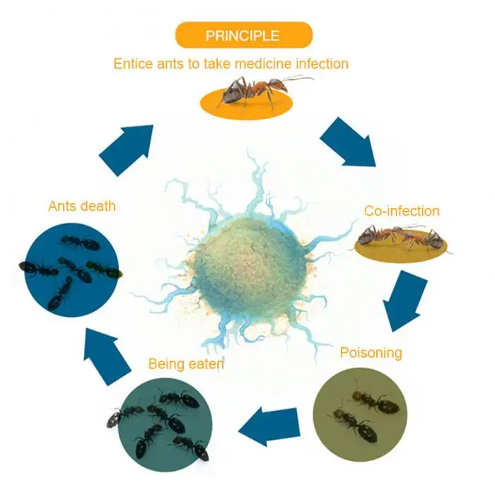 Сильный муравей, убивающий порошкообразная приманка, нетоксичные муравьи, лекарственные эффективные насекомые муравьи, муравьиная приманка, J2Y