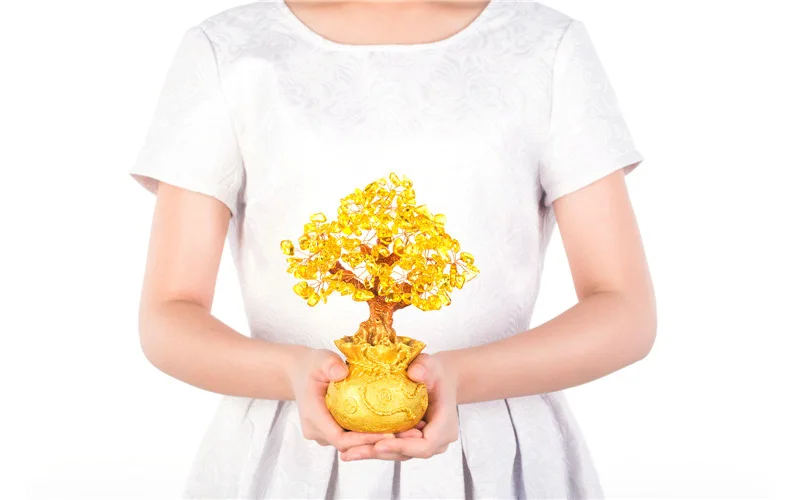 

Mini Crystal Money Tree Bonsai Style Wealth Luck Feng Shui Bring Wealth Luck Home Decor Birthday Gift