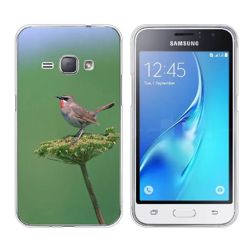 Samsung Galaxy J1 2016 Case 1-(11)