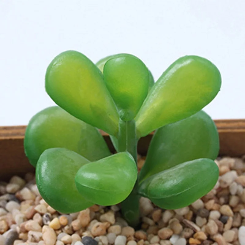 Artificial Mini Succulents Set (6 Pack) 3