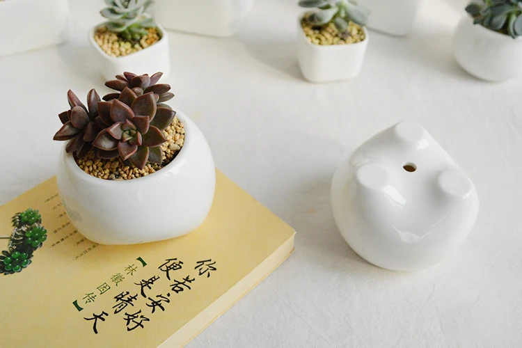 TB23.LidXXXXXcEXpXXXXXXXXXX_!!1878166685