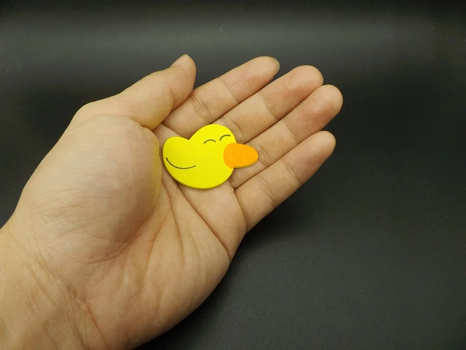 I407-Duck (5)