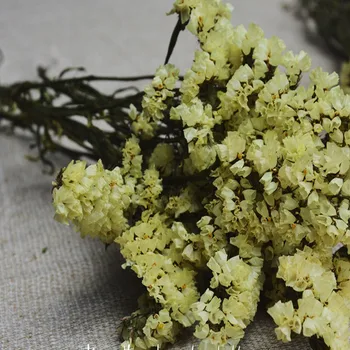 

Forget-me-not flowers natural air-dried Christmas home decoration Free Shipping
