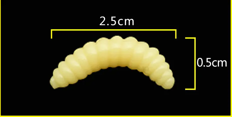20180726_100126_001