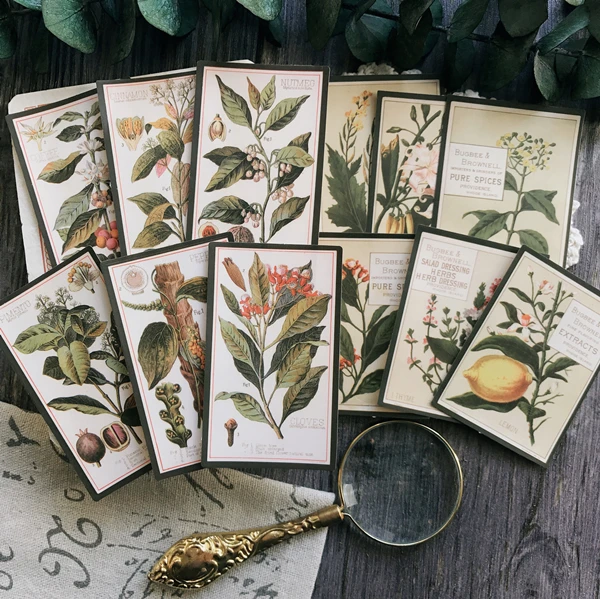 

12pcs DIY Handbook Vintage Retro Plant English Atlas TN notebook Decoration Material Fern Album Diary Sticker