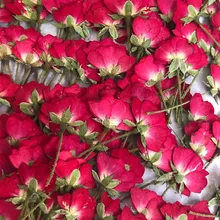 Китайская роза бутон сушеные цветы для печати цветок живопись DIY закладки 30 шт