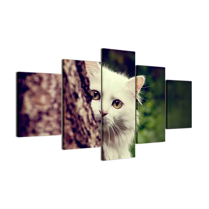 HTB1GS4HRpXXXXaxXVXXq6xXFXXXF