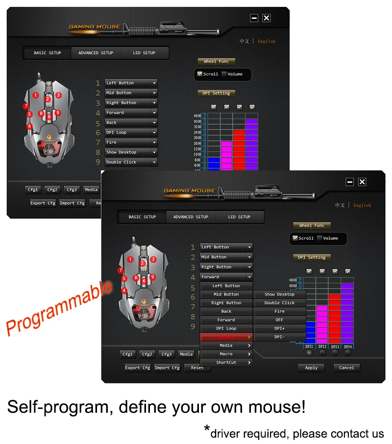 program