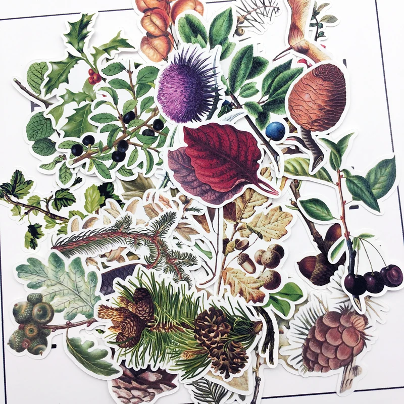 29Pcs Hand Drawing Retro Pineal Plant Sticker Decorative Stickers For Notebook Planner Scrapbooking Diy Paper huismerk kopen in de aanbieding 29Pcs Hand Drawing Retro Pineal Plant Sticker Decorative Stickers For Notebook Planner Scrapbooking Diy Paper huismerk kopen in de aanbieding