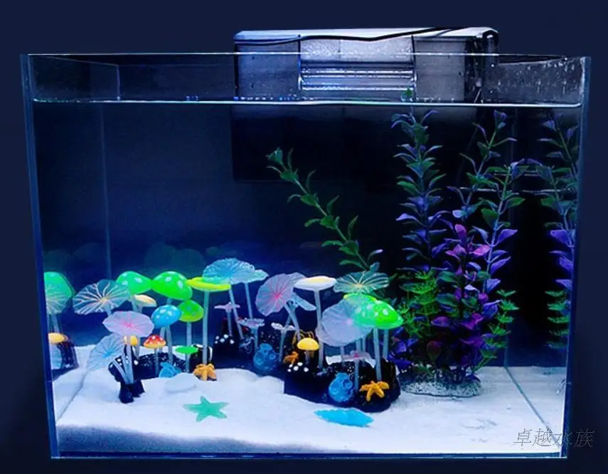 accessories for fish tanks