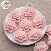 light pink 50pcs