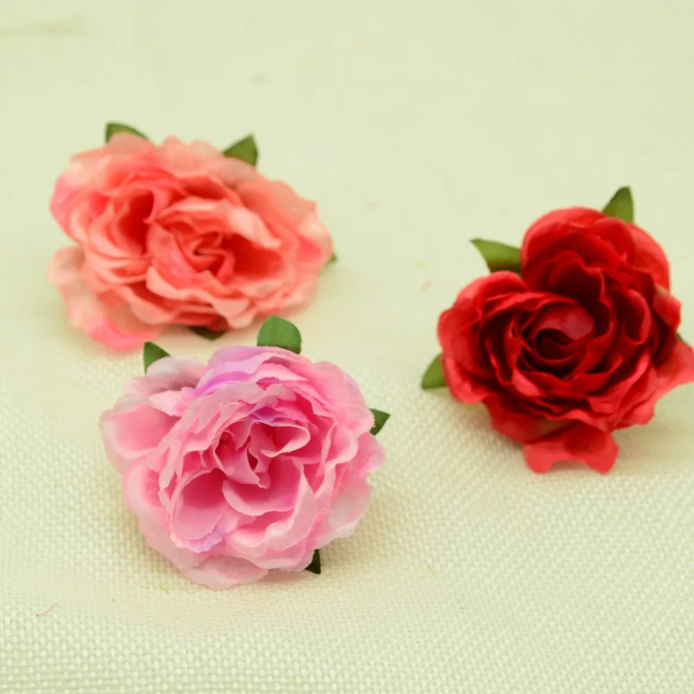 DSC_0548