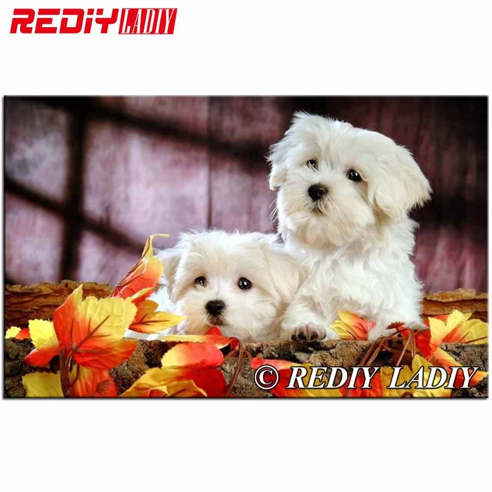 Cane MALTESE Punto Croce Kit