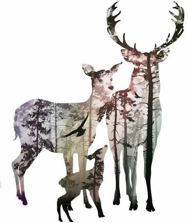3(2)_
