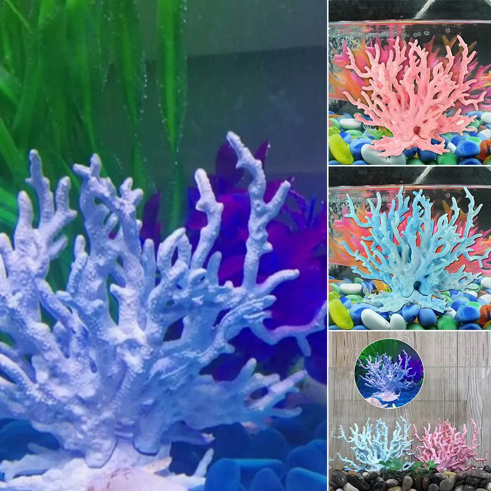 Растущий коралл игрушка. Как вырастить коралл. Рифовые рыбки для аквариума. Вырастить коралл. Звездчатый коралл.