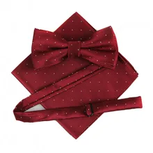 Полька Мужская бабочки в горошек нагрудный платок смокинг вечерние галстуки бабочки из жаккардовой ткани с бантиком 20 Цвета, 200 Декодер каналов кабельного телевидения