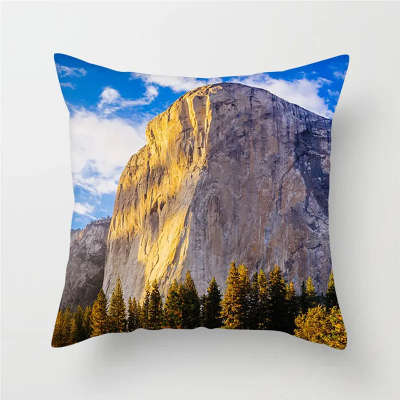 PC05561