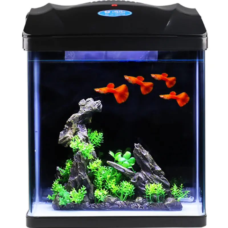 

Children Square Lazy Fish Tank Free Water Filter Aeration Small Glass Fish Tank Ecological Desktop Aquarium