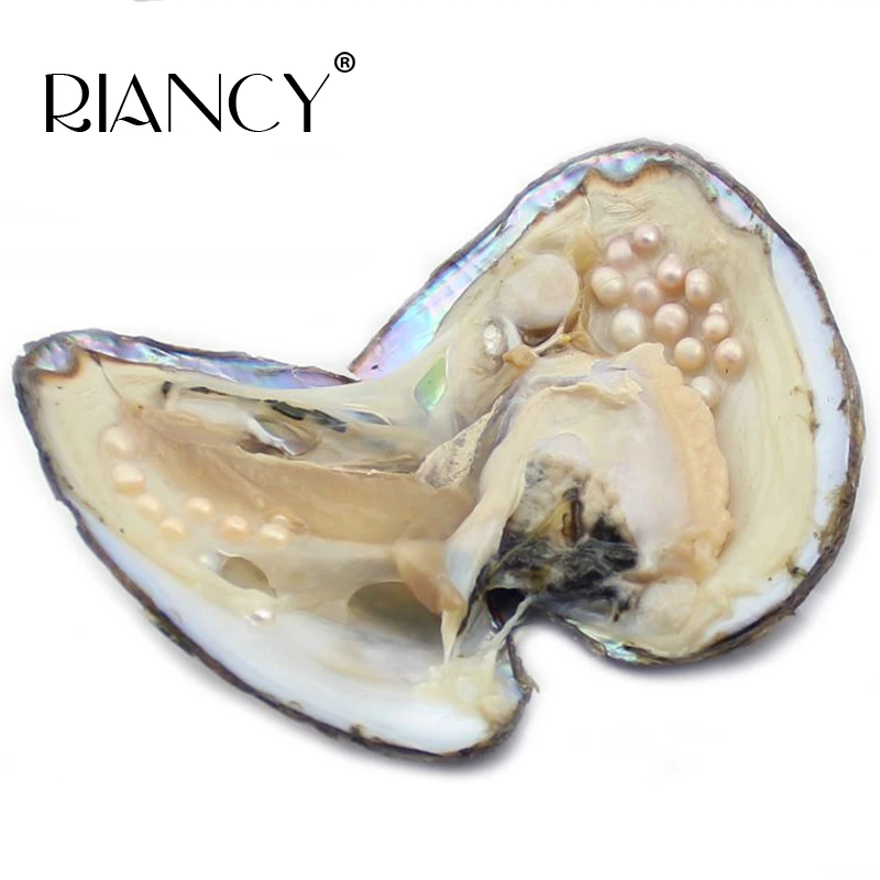 

Vacuum packs oysters hope freshwater pearl mussel shells and pearl 2017 new arrival mysterious gift surprise vacuum bag pearl
