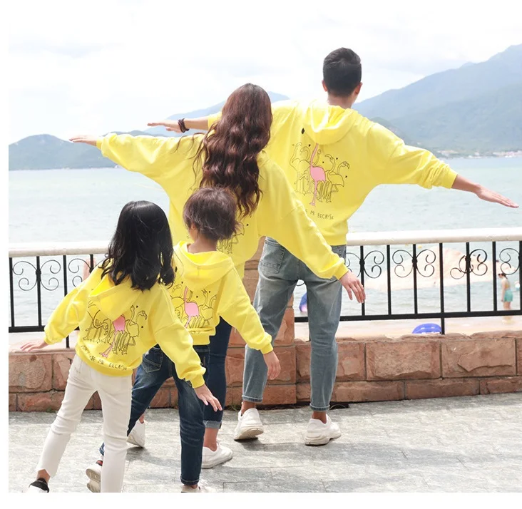 

Family Matching Outfits Hoodies Mommy and Me Clothes Mother Mom Mum and Daughter Clothes family look dress kids baby clothing WH