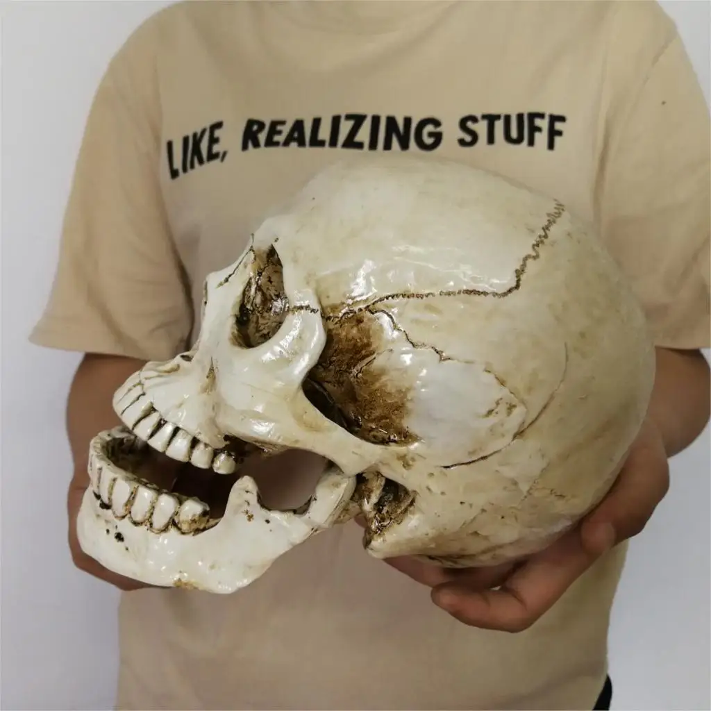 Человеческая голова Смола Реплика медицинская модель Lifesize Хэллоуин украшение