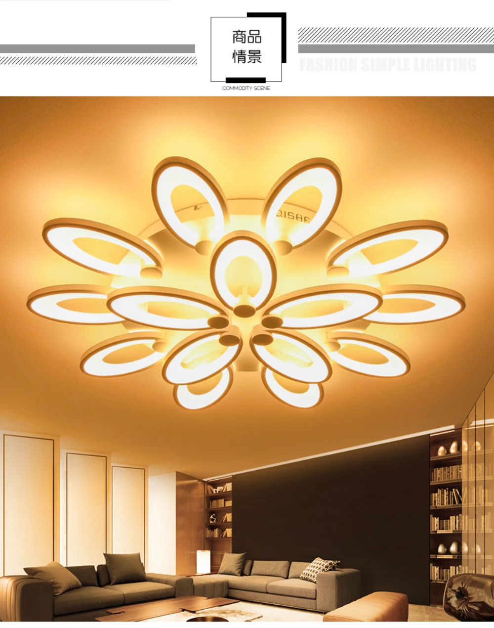 gorgeous ceiling light foyer-04
