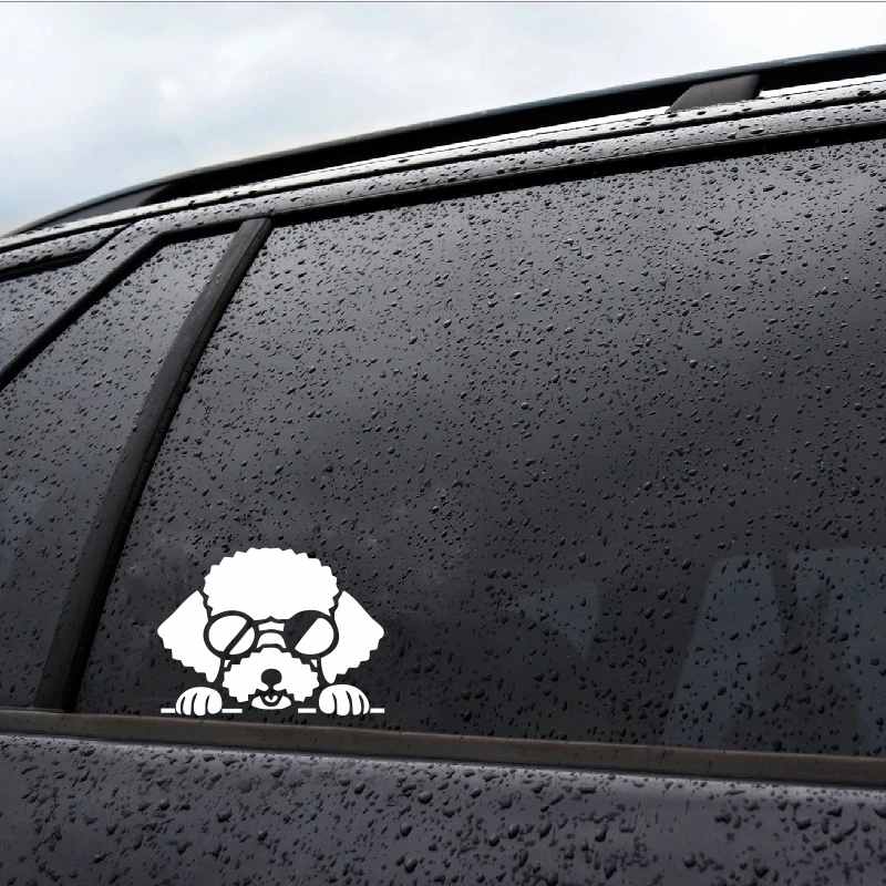 

Poodle Caniche Dog Graphic Car Sport Modification Helmet Accessories Auto Scratches Decoration Car Stickers Length 14.5cm