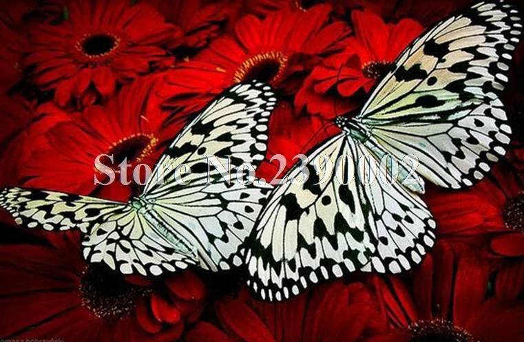 Цветы бабочка 5D Сделай Сам алмазная живопись полная квадратная мозаика Смола ручная вышивка мозаика 3D наборы для вышивки крестиком год - Цвет: P