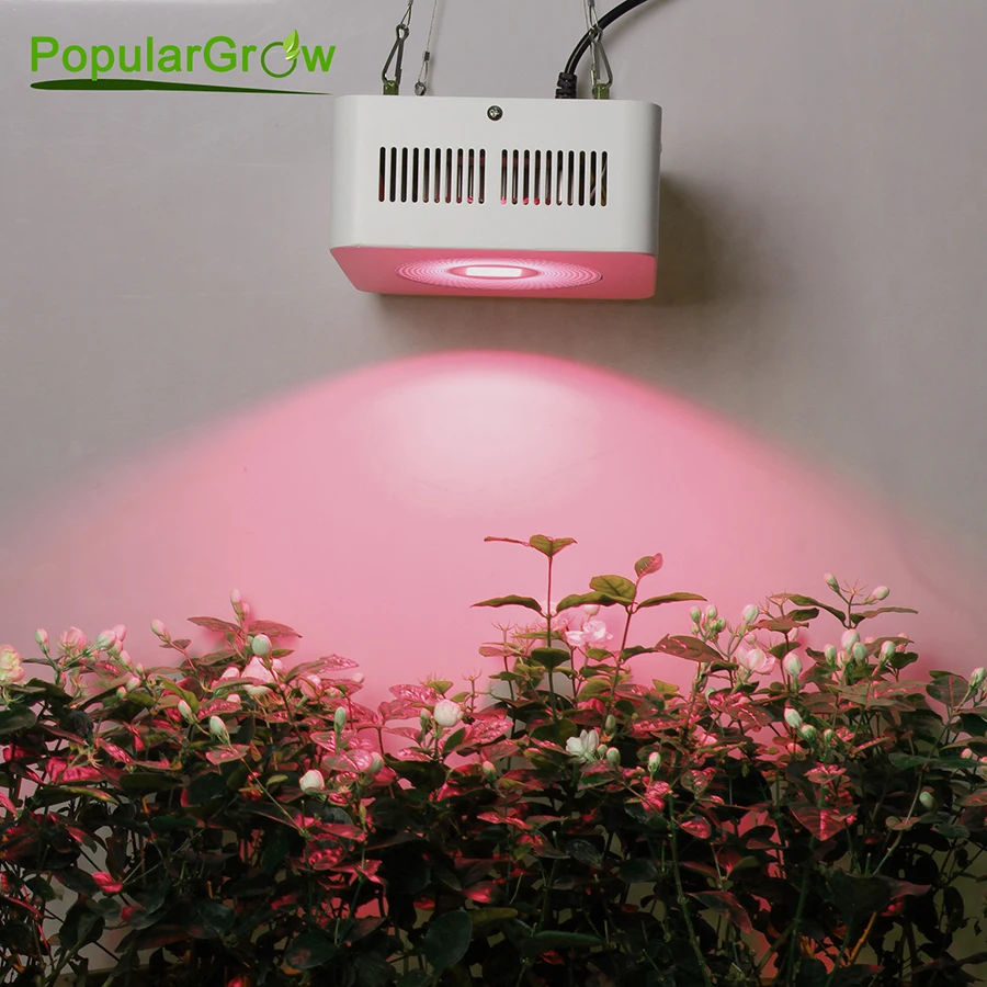 

High Power Full Spectrum Led Grow Light 200W with COB reflector for Hydroponic Grow Box Medical plants supplemental lighting