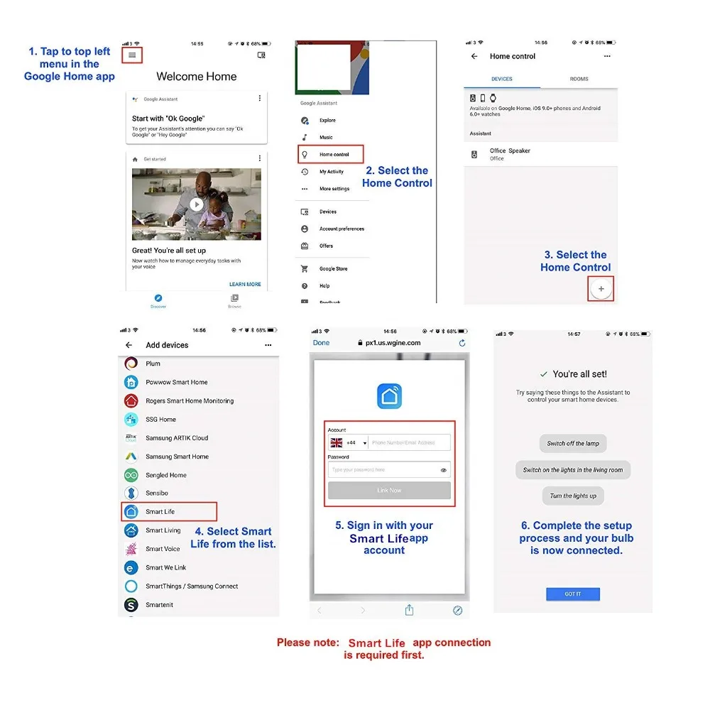 Google Home Connection