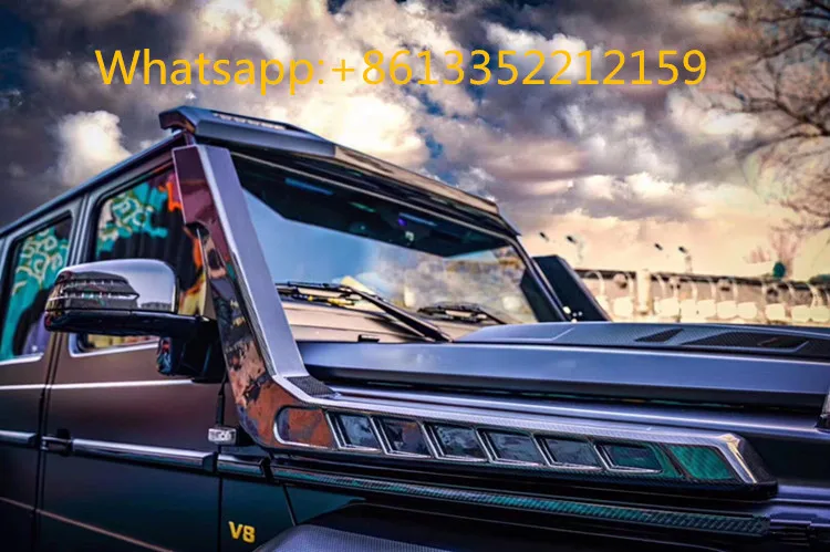 G class W463 (3)