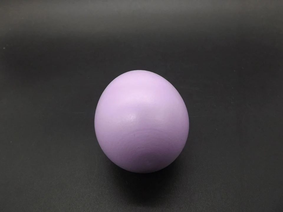 I433-Egg (7)