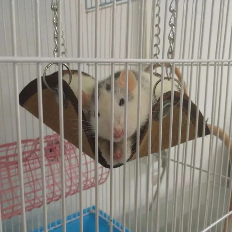 Pet гамак Хомяк Мыши Крысы грызуны подвесная клетка для кровати маленькие качели