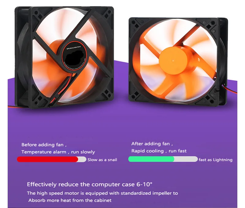 D3.1
