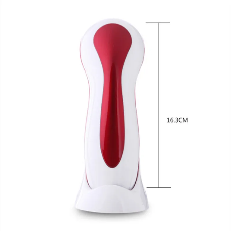 electric face brush (3)