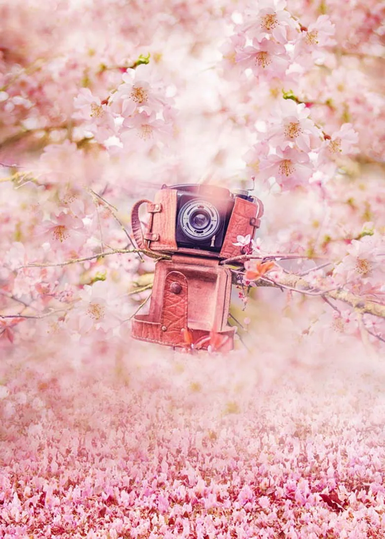 

Spring photo background pink blossom photography backdrops for photo studio photographic background fotografia props