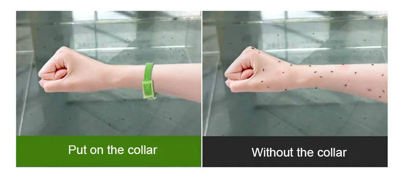 dog collar flea (7)