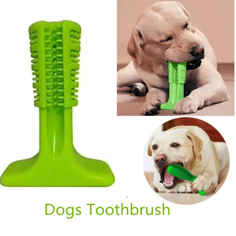 зубная щетка для шпица. зубная щётка для собак 04121289. зубная щётка для собак. щенок с зубной щеткой. зубная щётка для собак мелких пород.