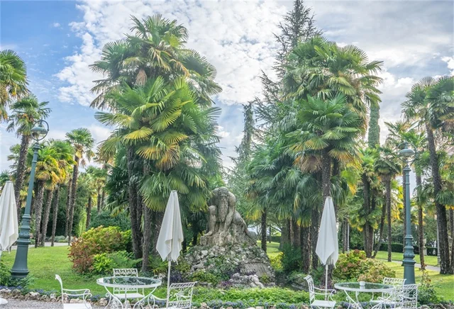 laeacco park palm trees