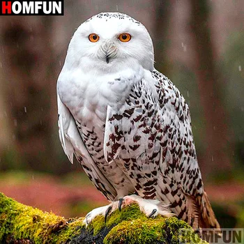 

HOMFUN Full Square/Round Drill 5D DIY Diamond Painting "Animal owl" 3D Embroidery Cross Stitch 5D Decor Gift A13308