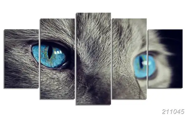 Hd напечатано ясные солнцезащитные очки &quotкошачий глаз&quot 5 шт живопись на холсте