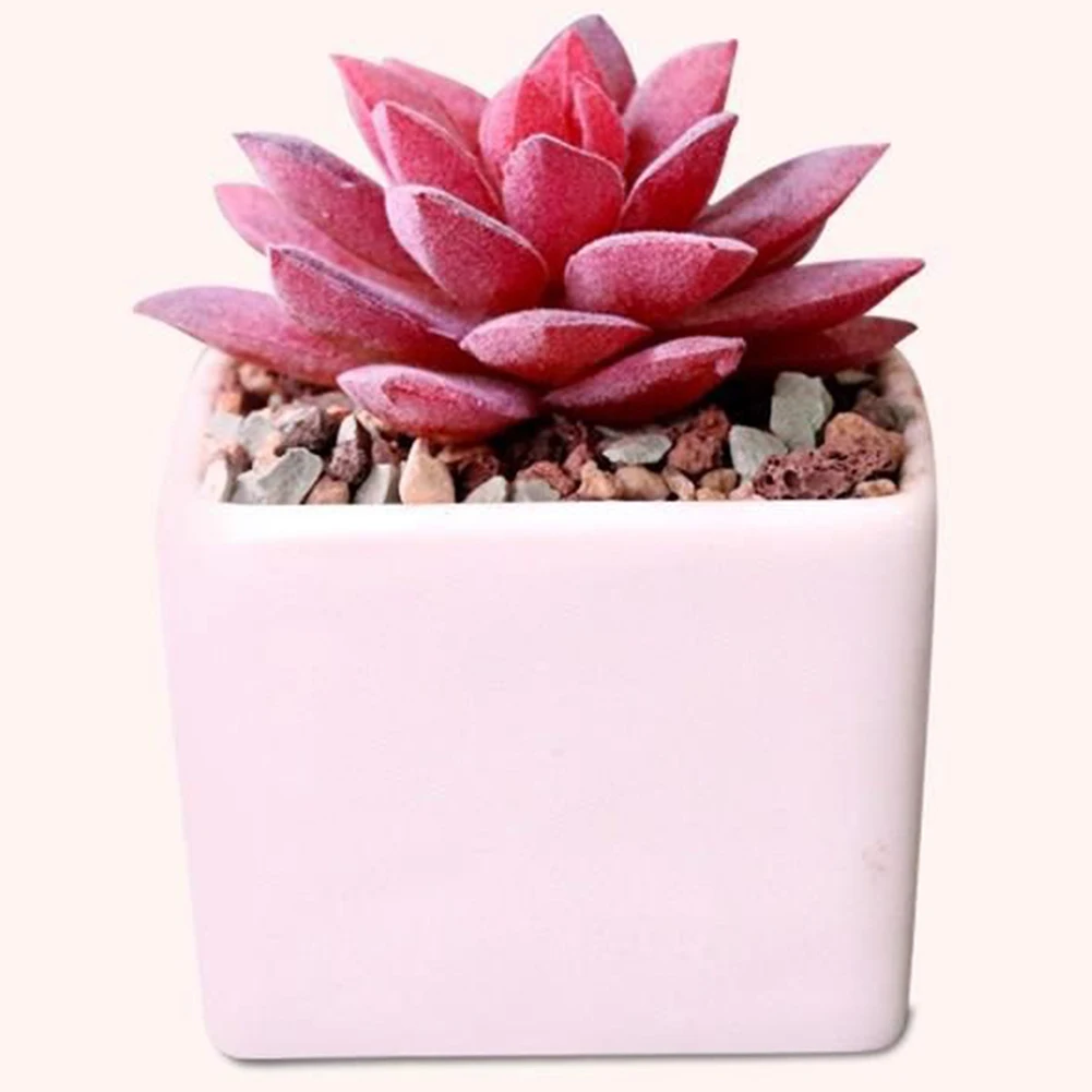 

Mini Home Decor Green Plants Gift Square Landscape Fake Ceramic Pot Party Desktop Garden Bonsai Wedding Artificial Succulent